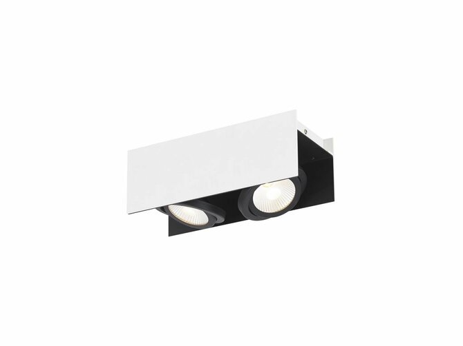VIDAGO Deckenleuchte - Weiß & Schwarz - 2 LED inkl. -